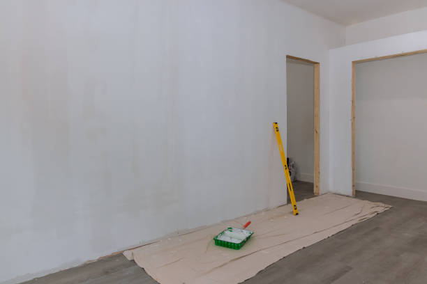 Forensic Mold Investigation in Shady Shores, TX