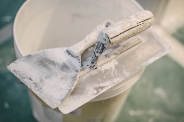 Best Commercial Mold Inspection  in Shady Shores, TX