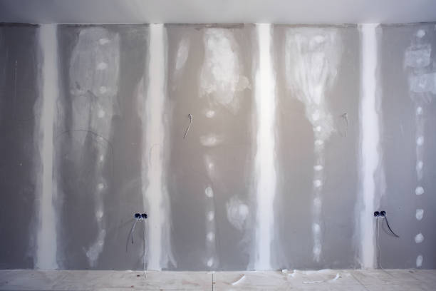 Best Mold Documentation for Insurance Claims  in Shady Shores, TX